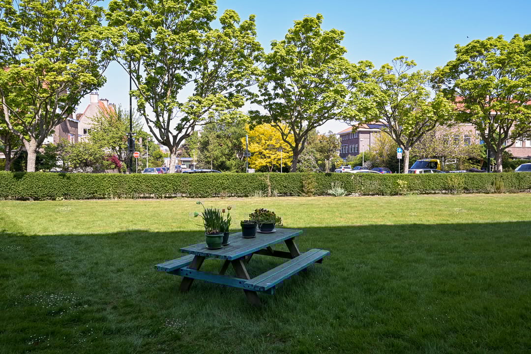 Foto 7 van Sportlaan 1114