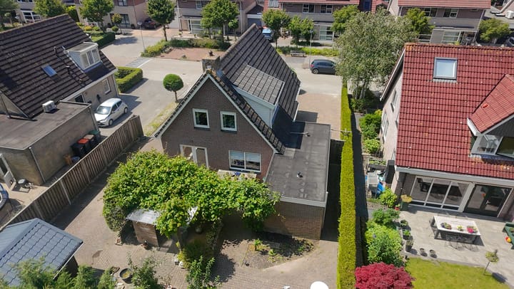 Foto 70 van Bomenland 13