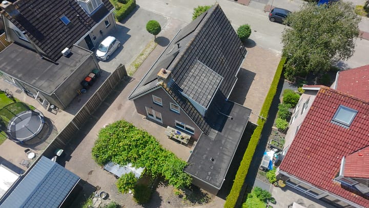 Foto 72 van Bomenland 13