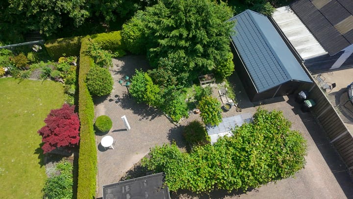 Foto 75 van Bomenland 13