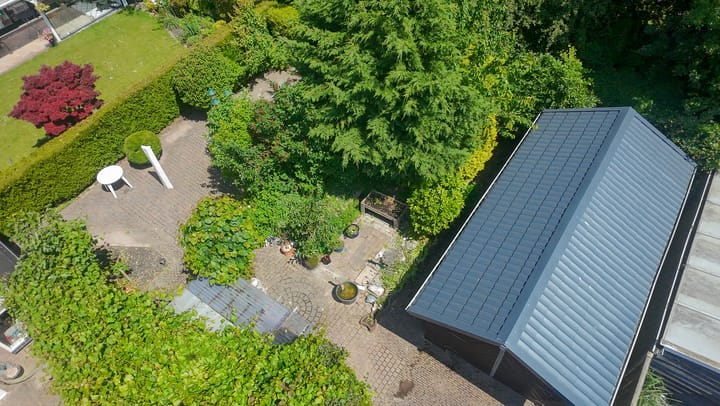 Foto 78 van Bomenland 13