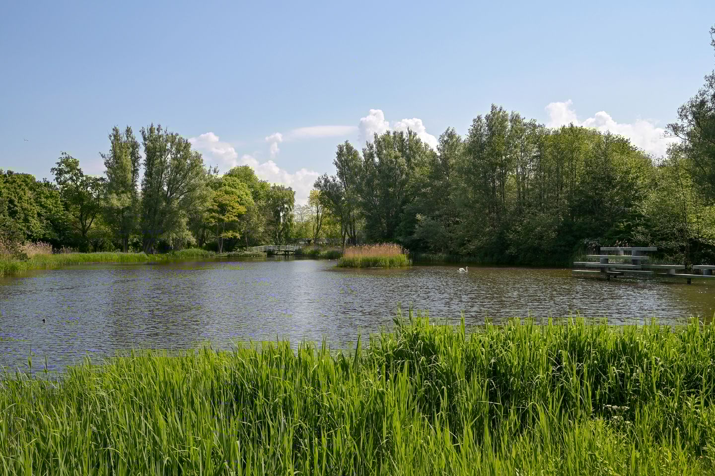 Foto 35 van Sportlaan 1114