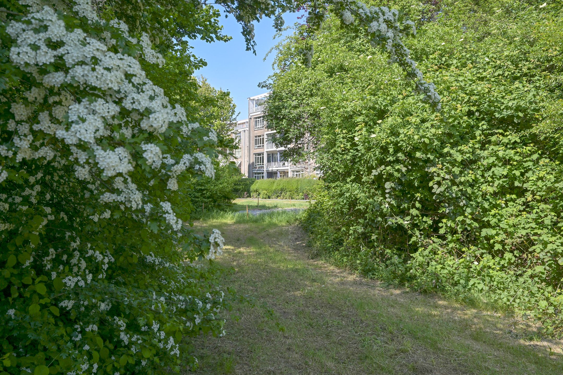 Foto 36 van Sportlaan 1114