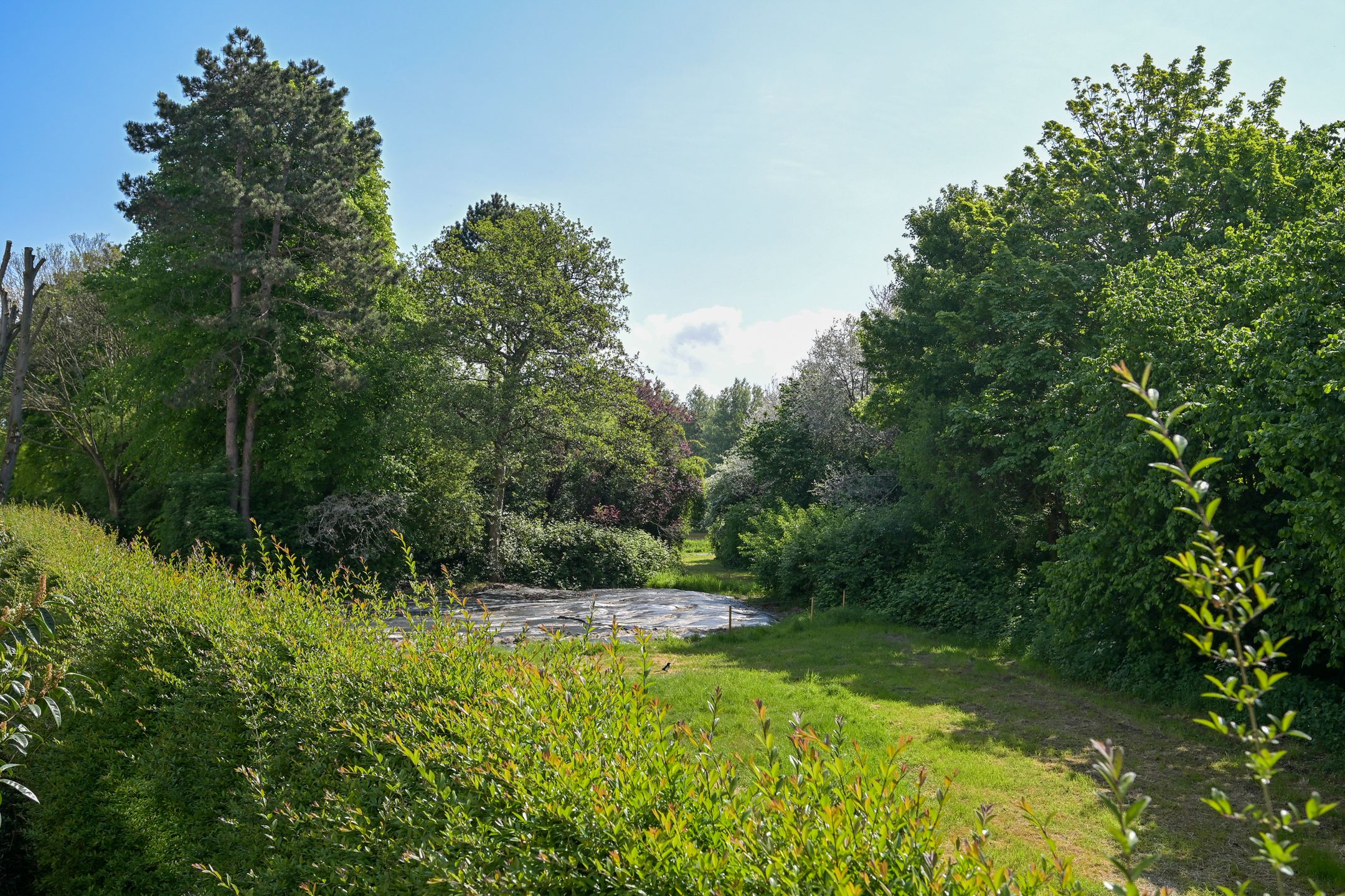 Foto 30 van Sportlaan 1114