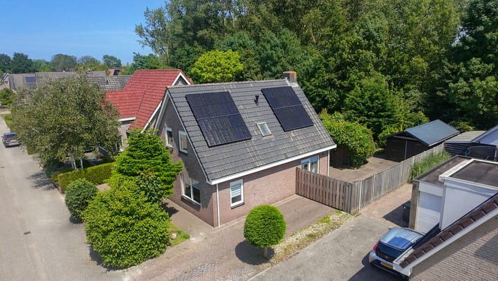 Foto 80 van Bomenland 13