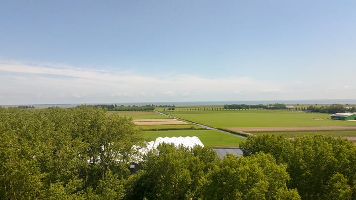 Foto 81 van Bomenland 13