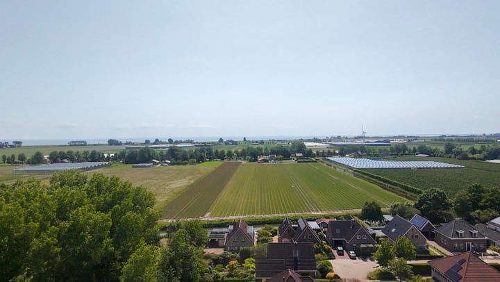 Foto 82 van Bomenland 13