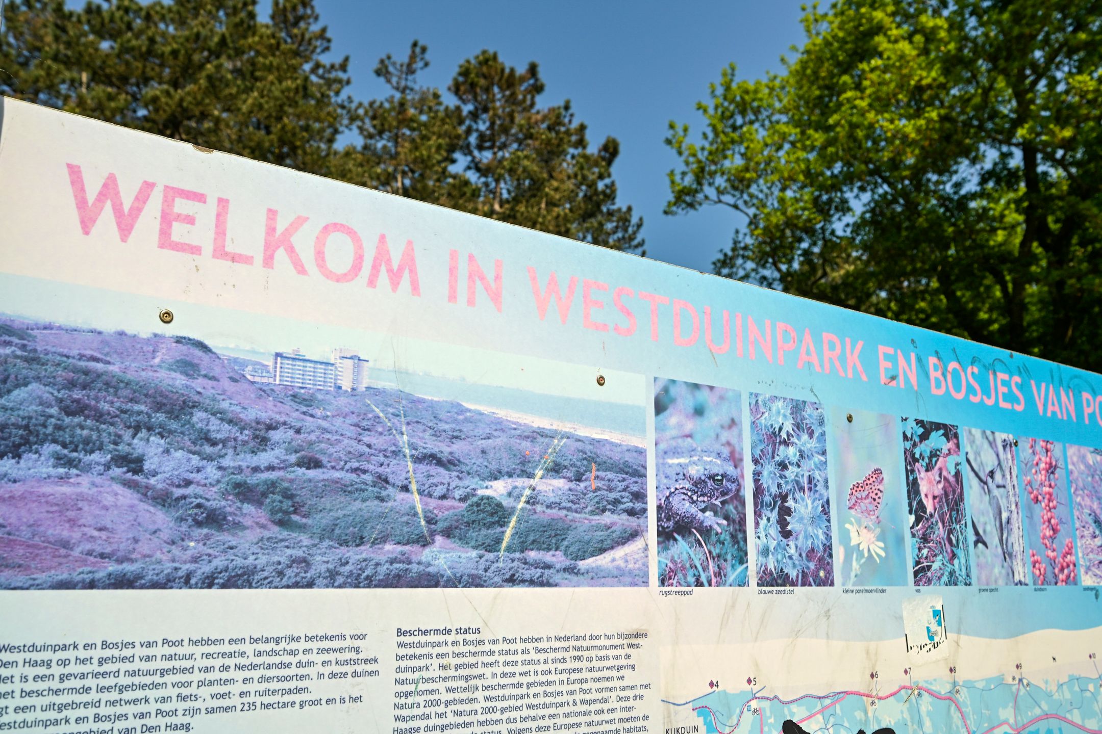 Foto 39 van Sportlaan 1114