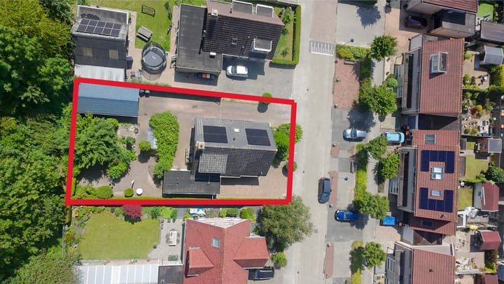 Foto 84 van Bomenland 13