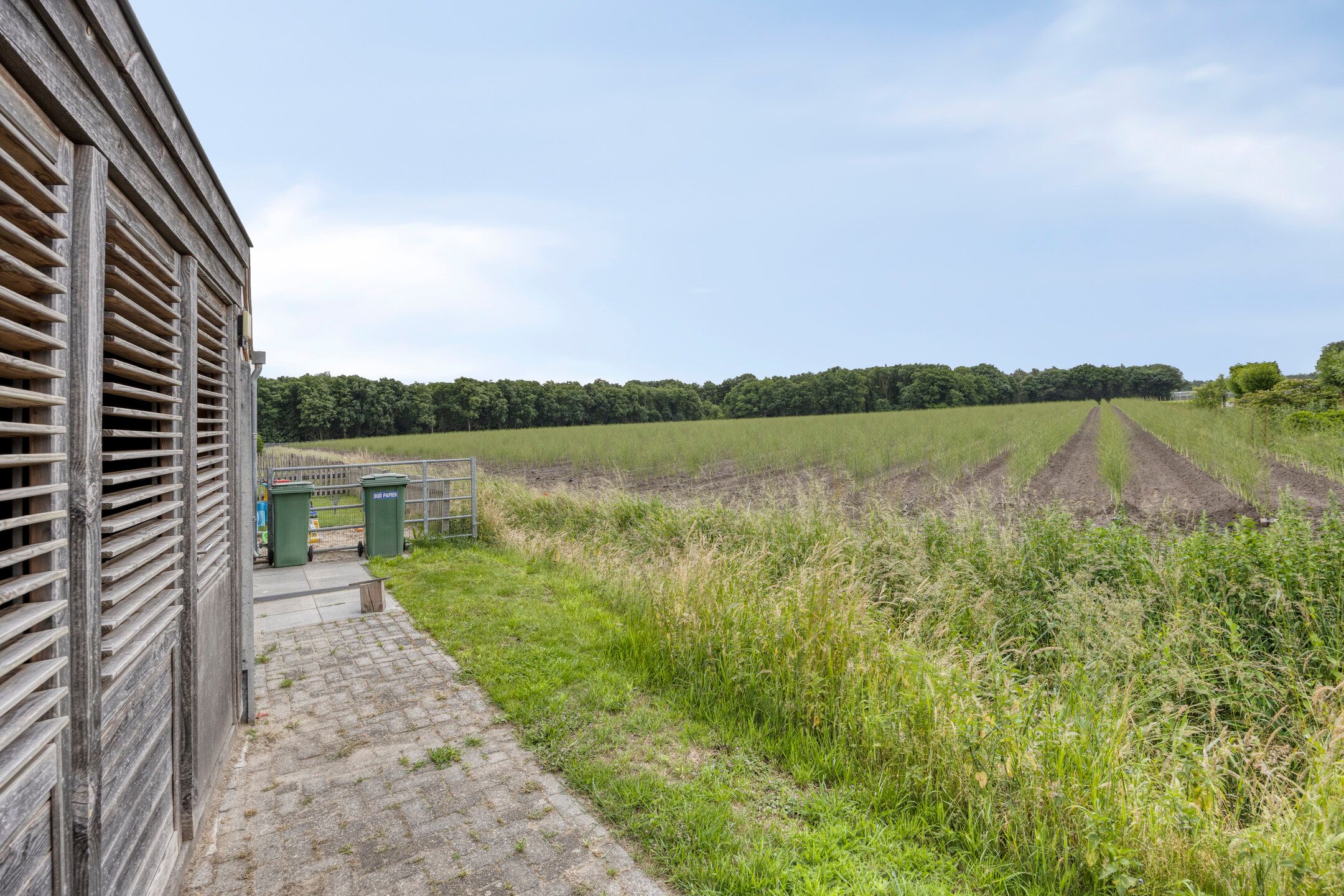 Foto 36 van Kaarsenmaker 40