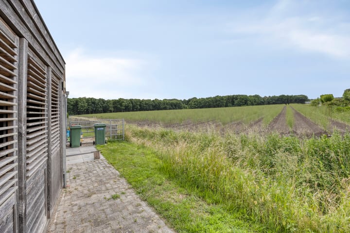 Foto 36 van Kaarsenmaker 40