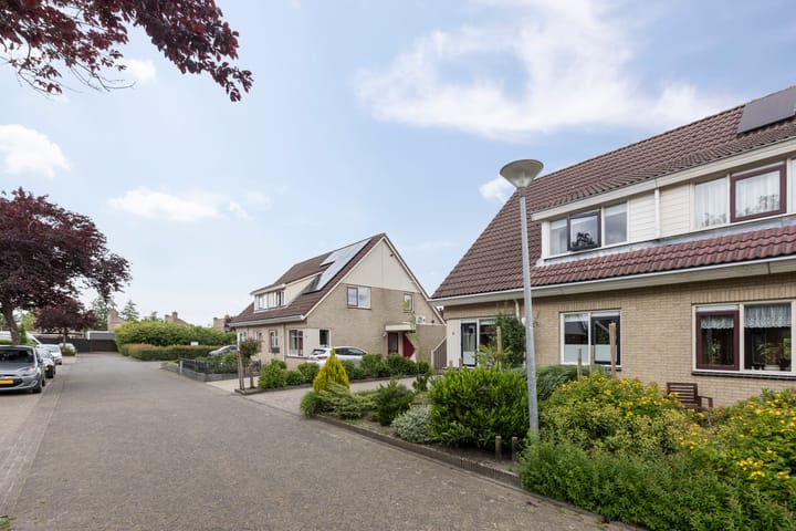 Foto 39 van Zwaluw 7