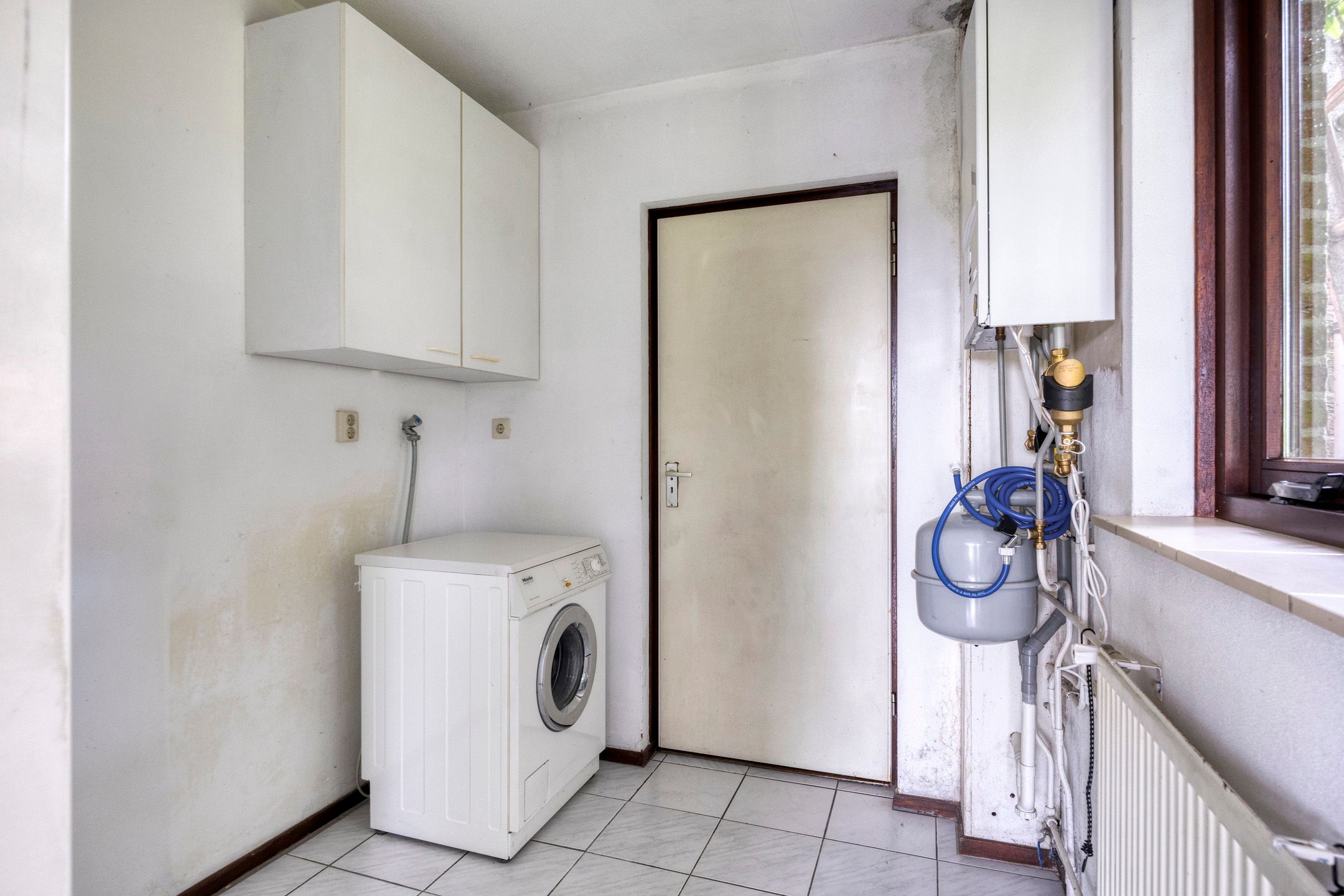 Foto 12 van De Traanbok 1