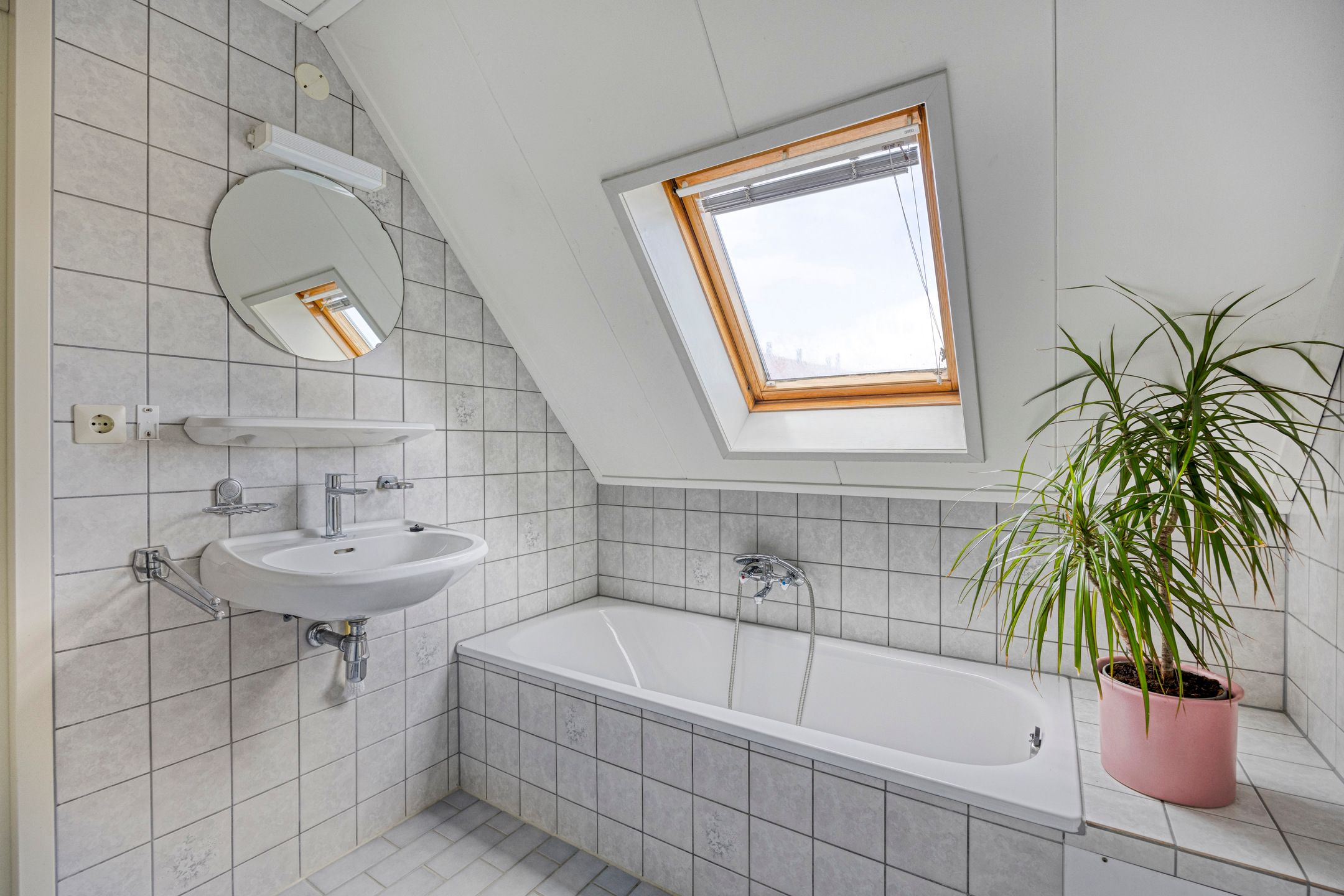 Foto 21 van De Traanbok 1