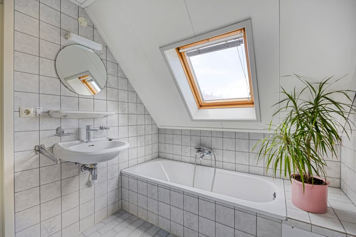 Foto 21 van De Traanbok 1