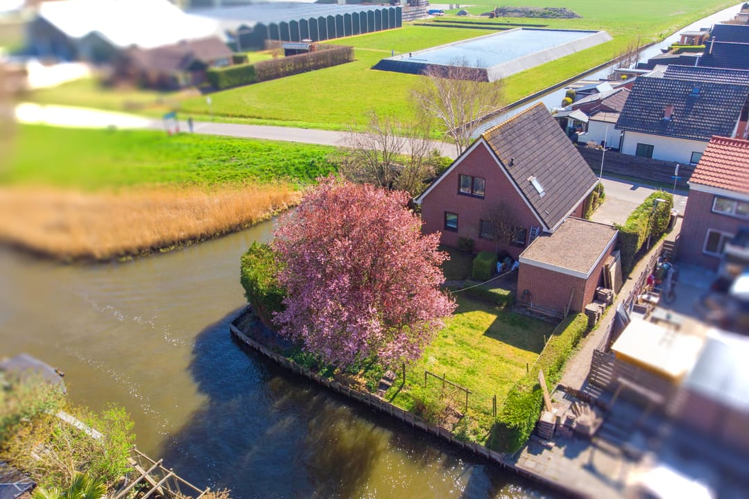 Foto 2 van De Traanbok 1