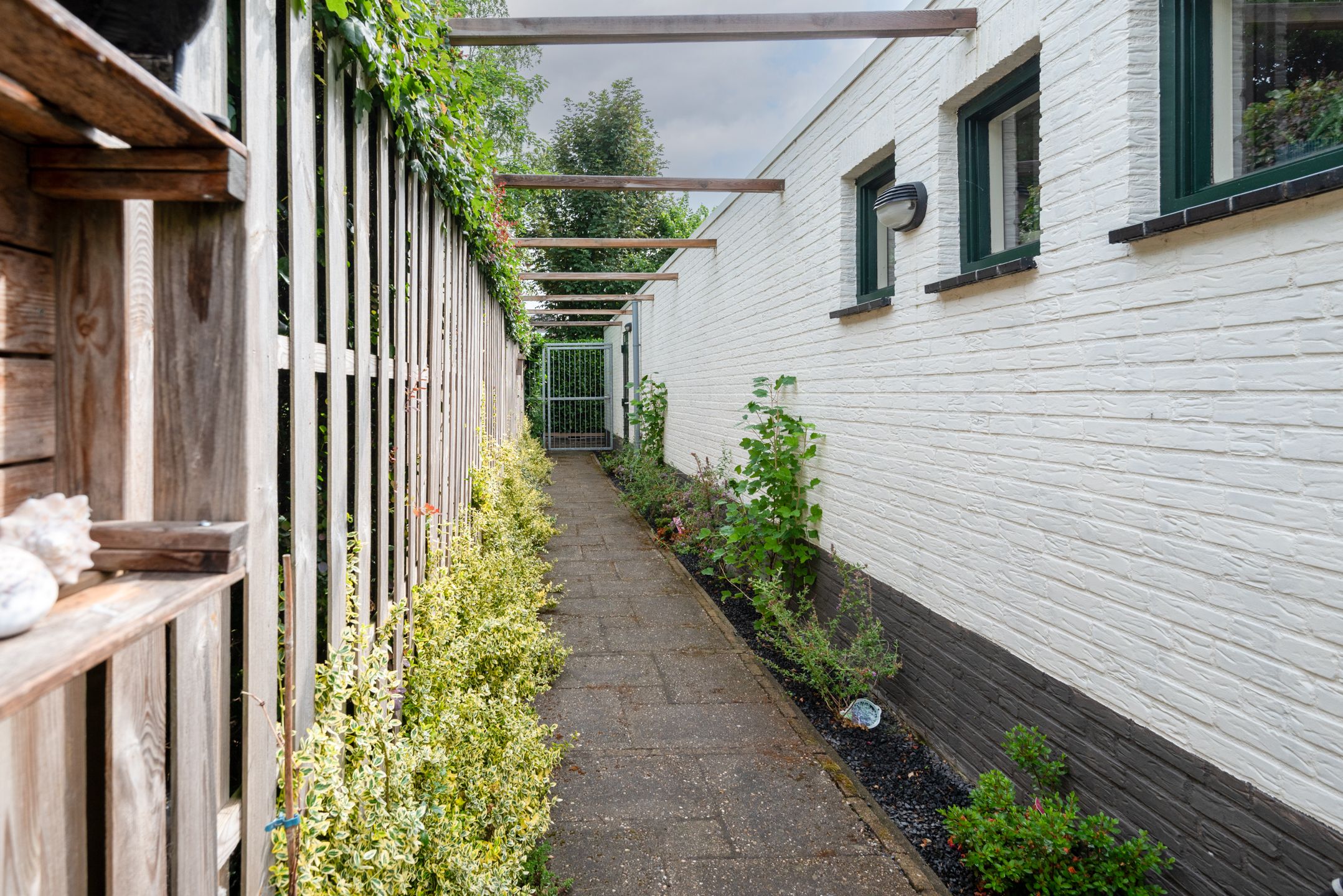 Foto 36 van Wezelpad 9