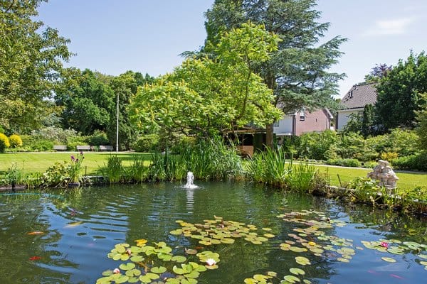 Foto 20 van Zandvoorter Allee 226