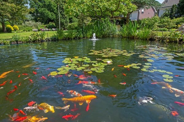 Foto 21 van Zandvoorter Allee 226