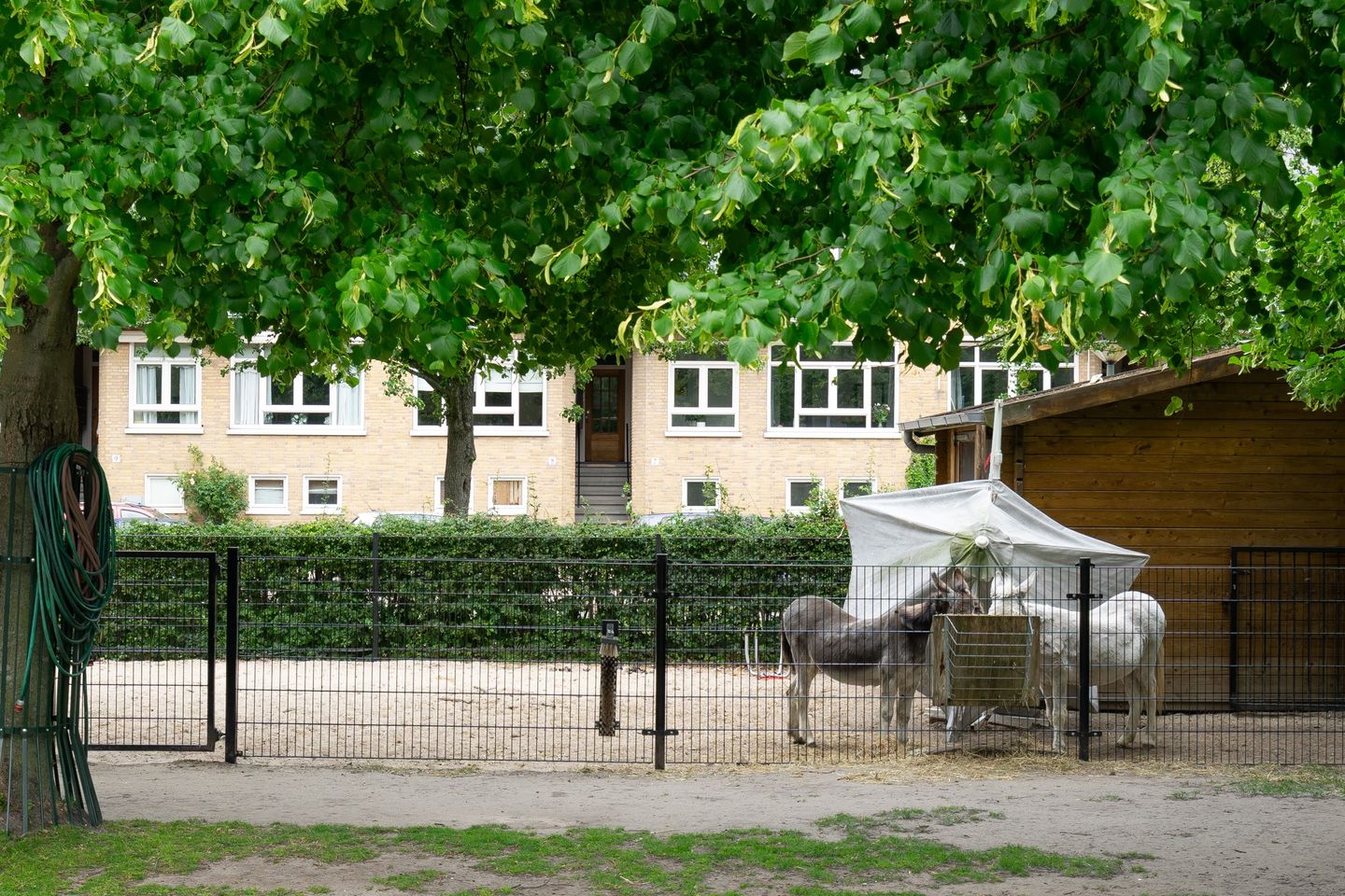 Foto 19 van Heer Halewijnstraat 7-H