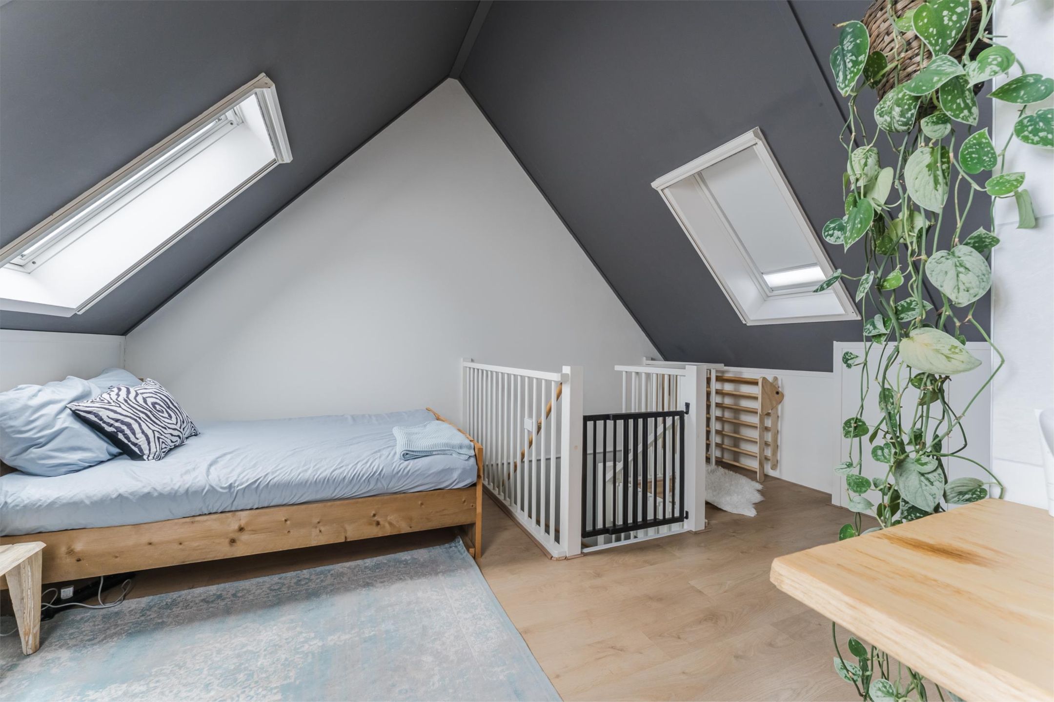 Foto 51 van Brederodepeer 22