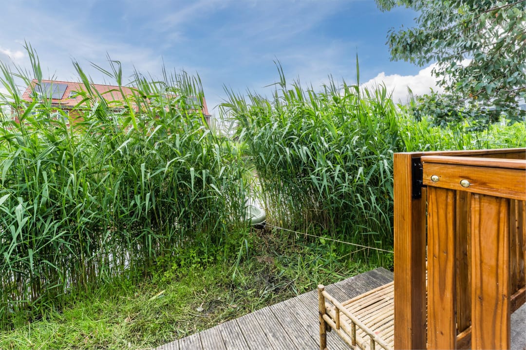 Foto 62 van Brederodepeer 22