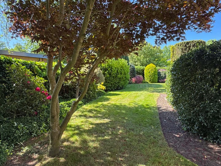 Foto 14 van Rubensstraat 10