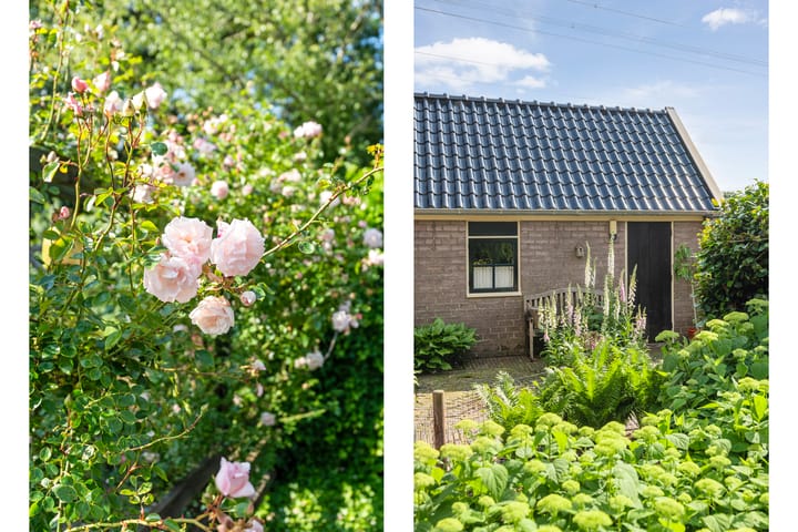 Photo 61 of Eldijk 5