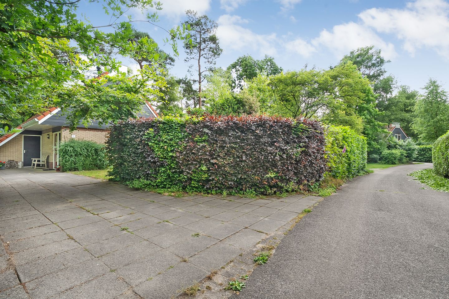 Foto 29 van Zonnebloemweg 10-08