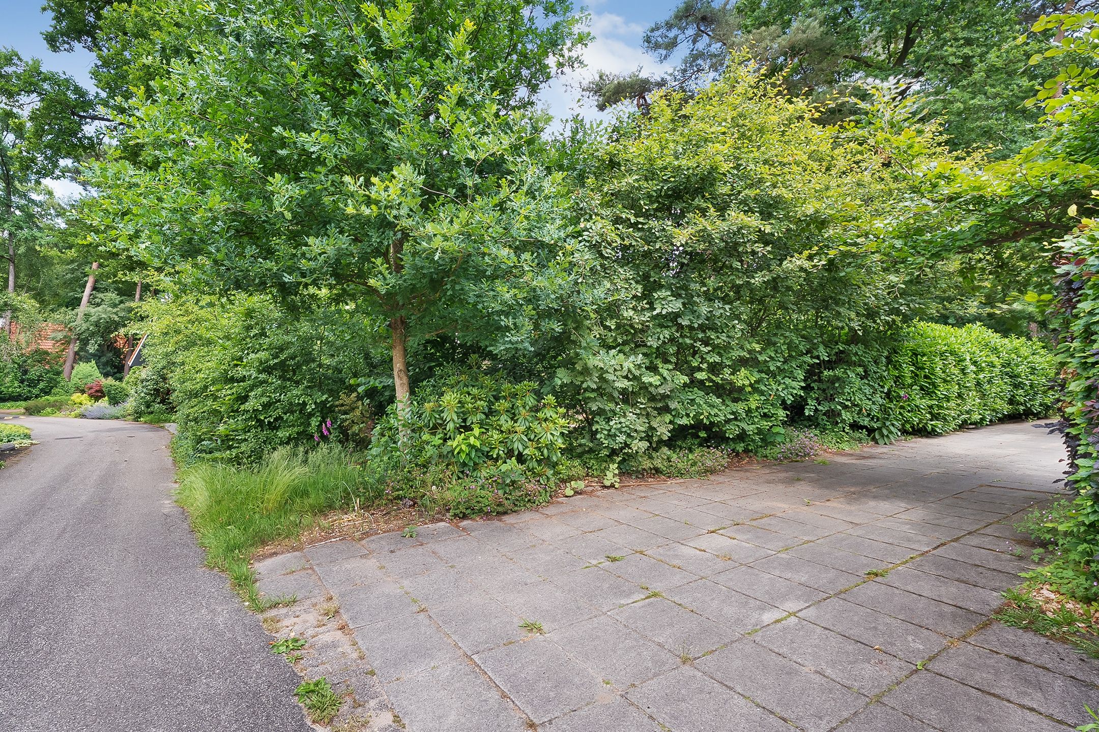 Foto 30 van Zonnebloemweg 10-08