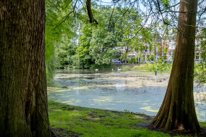 Foto 74 van Boteringesingel 5