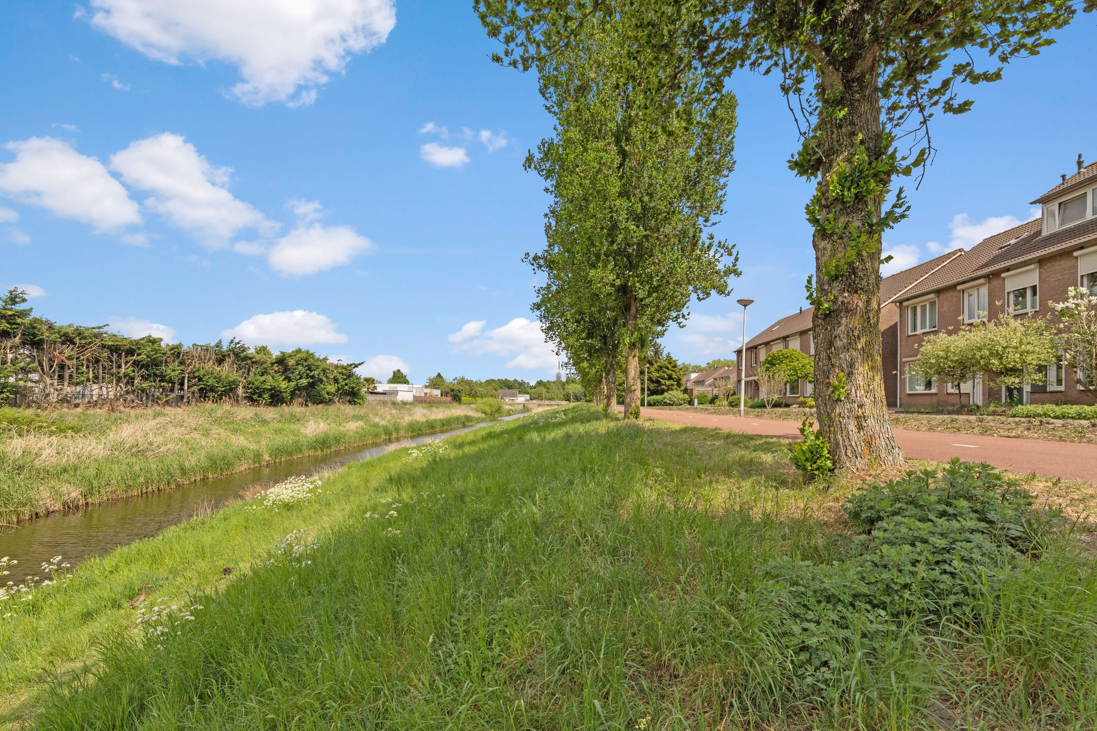 Foto 42 van Ebbenberg 9