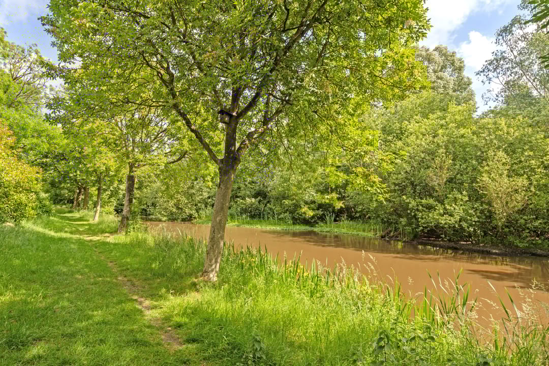 Foto 47 van Tesselschadelaan 30