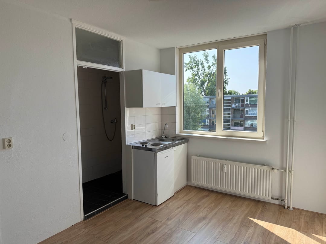 Foto 22 van Beneluxlaan 303