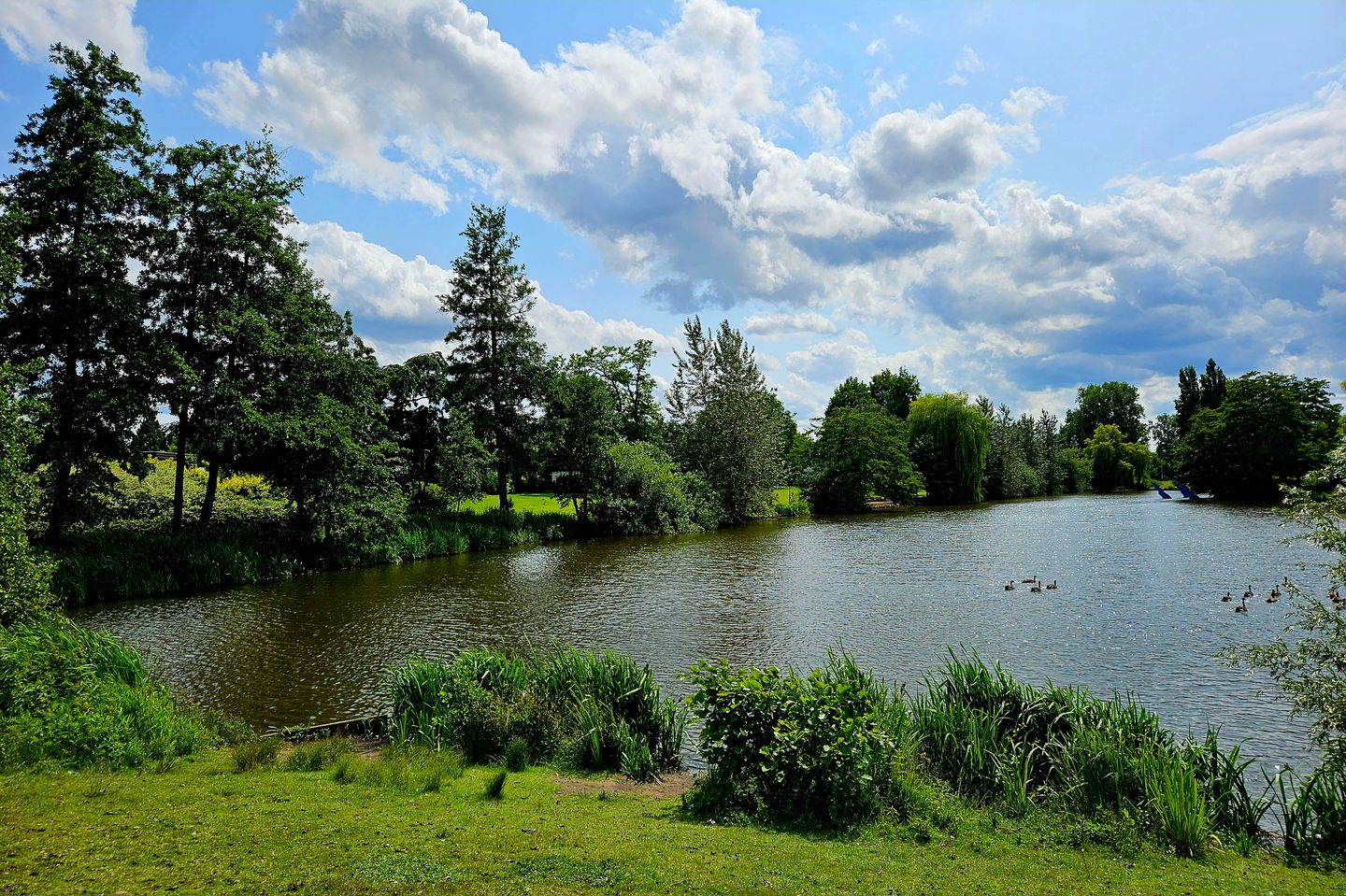 Foto 35 van Tweelingenlaan 3