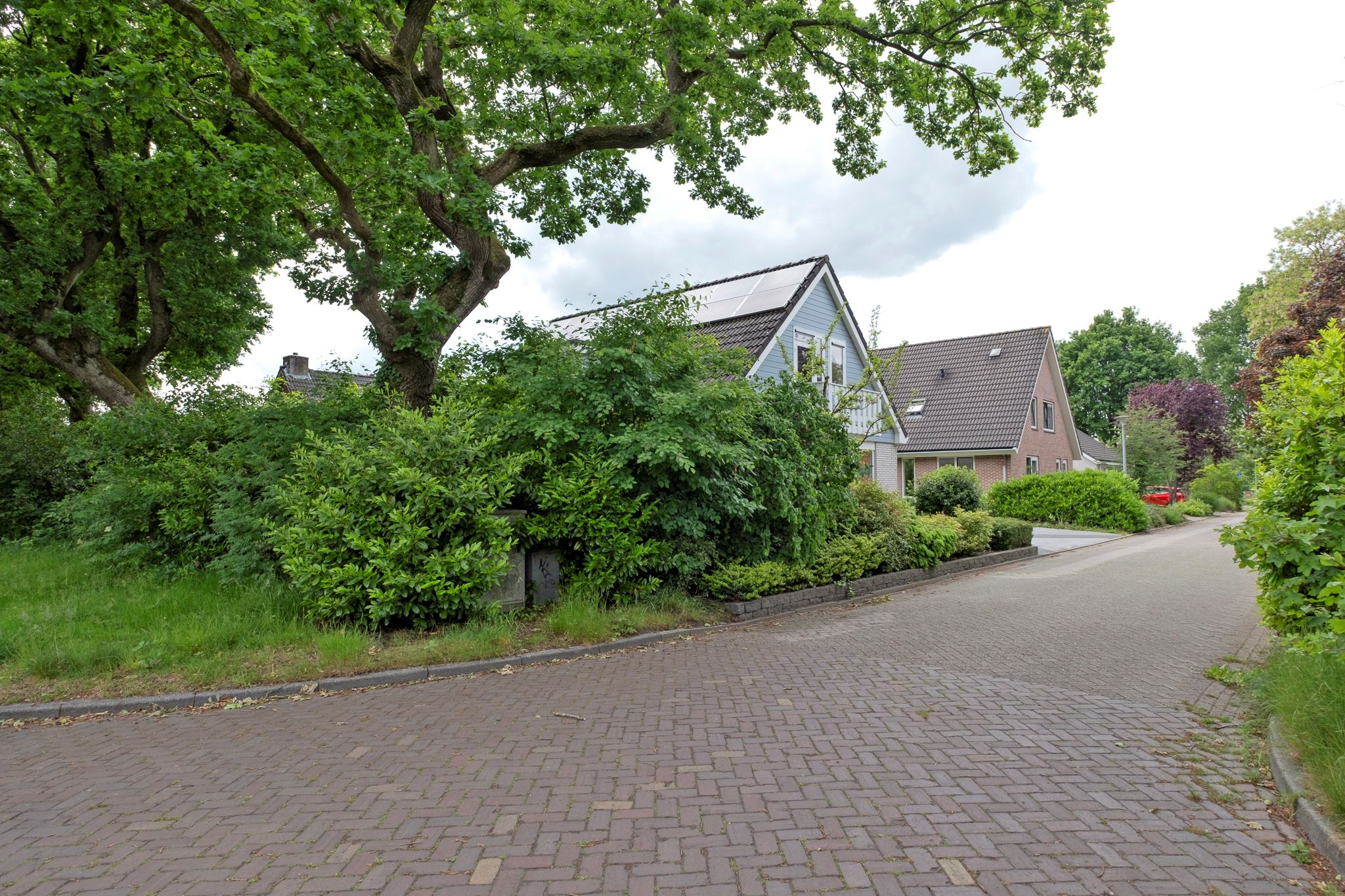 Photo 63 of Blikbree 1