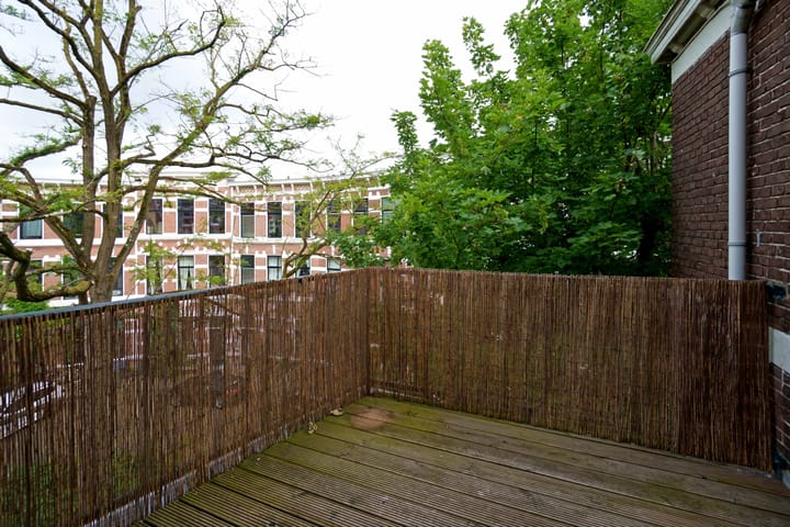 Photo 14 of Laan van Meerdervoort 189-1