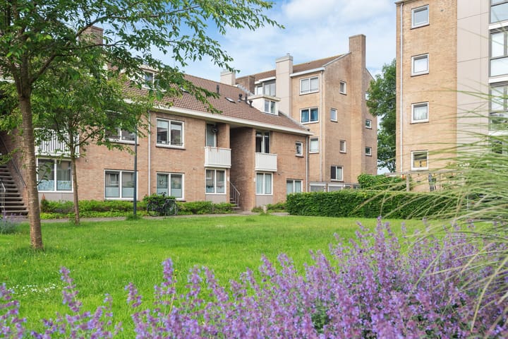 Foto 7 van P.C. Boutensstraat 29