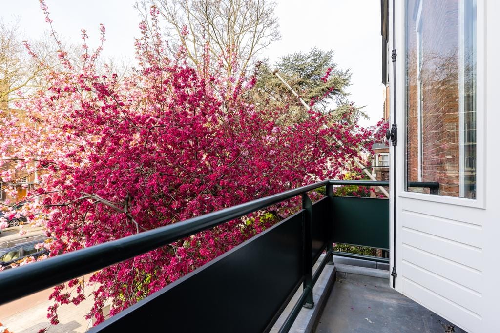 Foto 21 van Mathenesserlaan 455-B