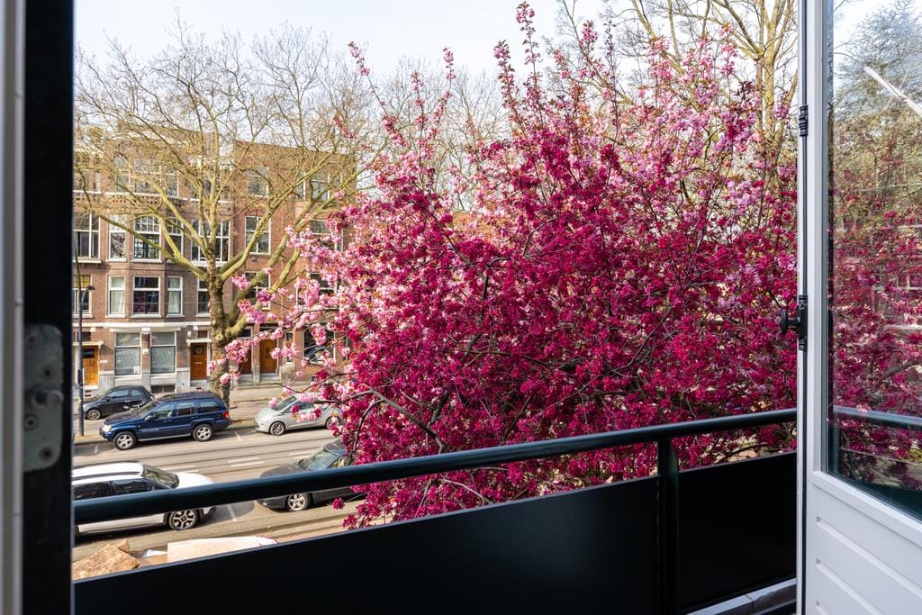 Foto 22 van Mathenesserlaan 455-B