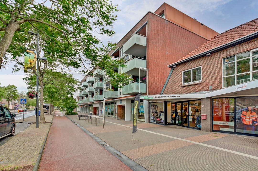 Foto 2 van Reviusplein 113