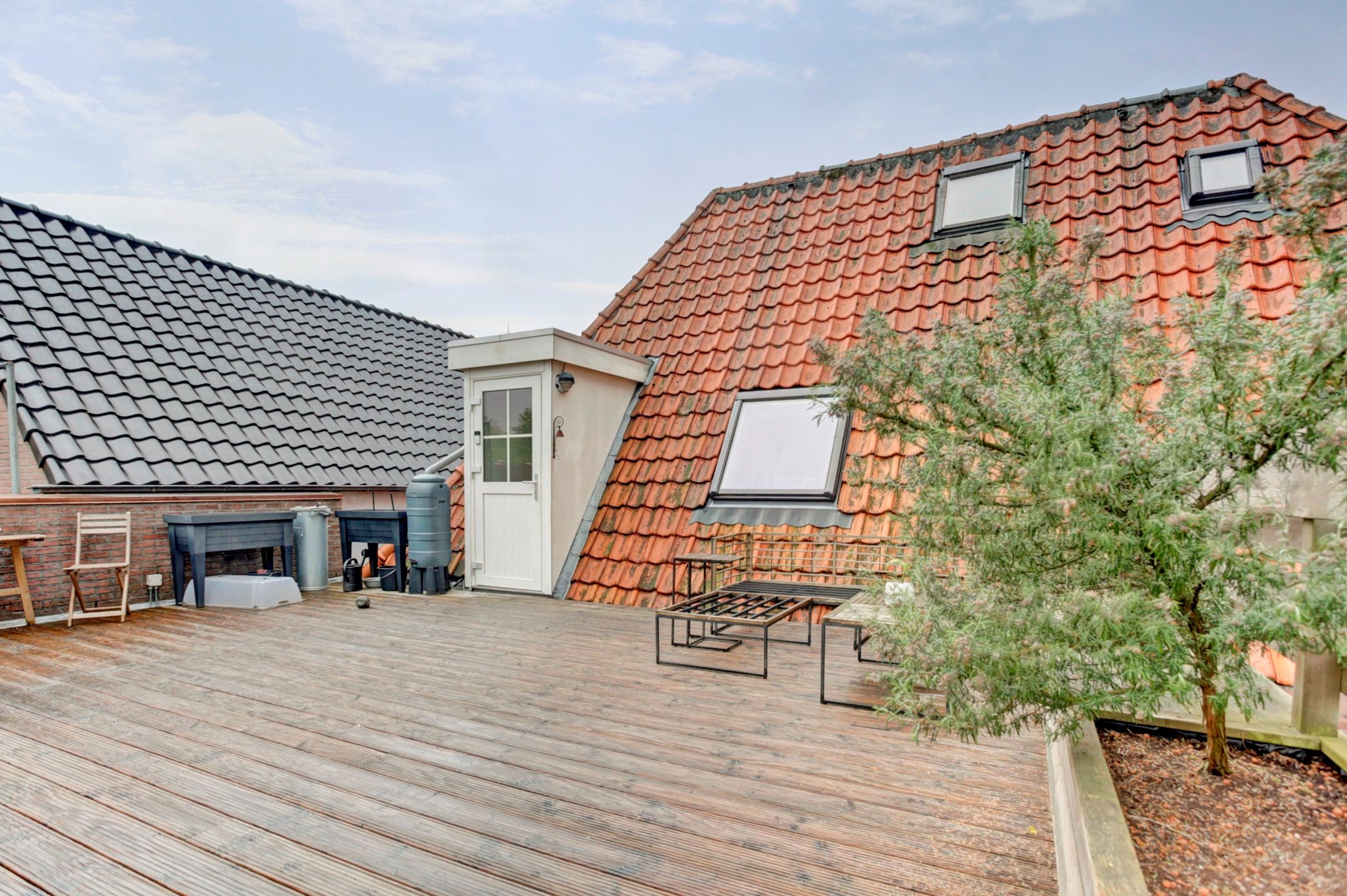 Foto 33 van Reviusplein 113