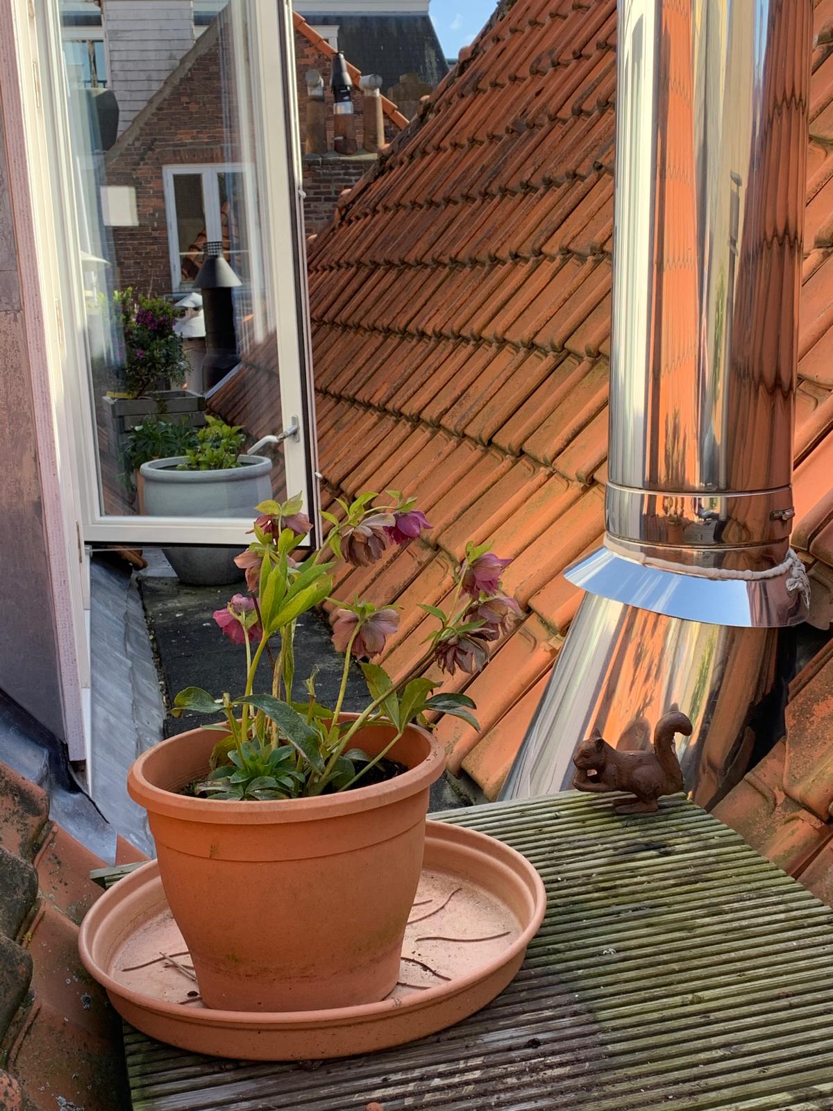 Foto 33 van Molenstraat 31