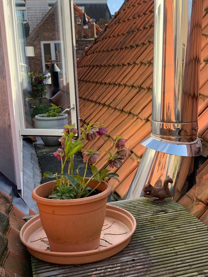 Foto 33 van Molenstraat 31