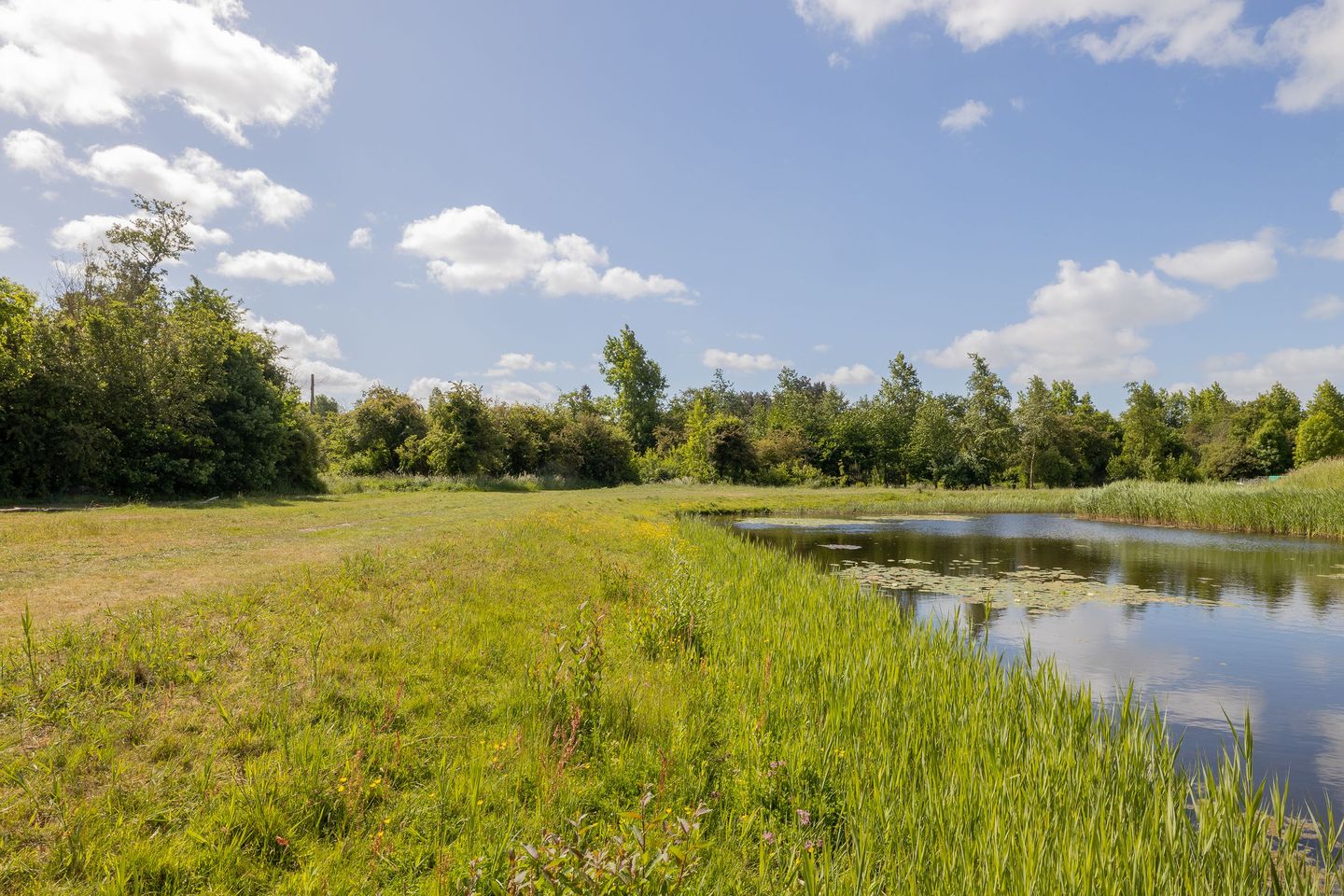 Photo 5 of Willem van Otterloolaan 18