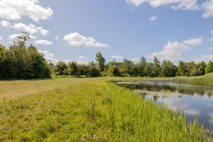 Foto 5 van Willem van Otterloolaan 18