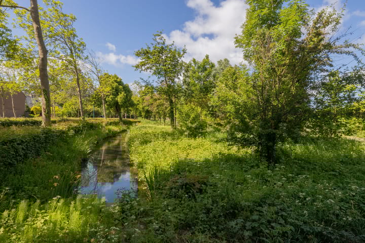 Foto 45 van Willem van Otterloolaan 18