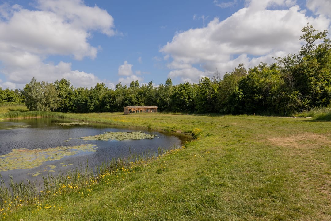 Photo 46 of Willem van Otterloolaan 18