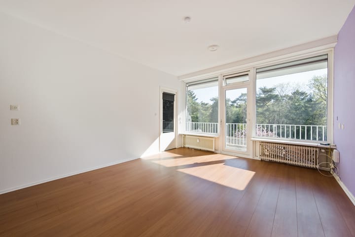 Foto 3 van De Hooghlaan 2-C20