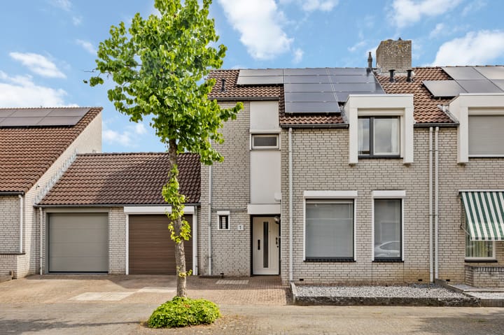 Foto 6 van Sleedoornstraat 1